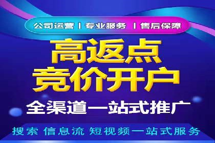金融行业SEM运营托管的策略与效果